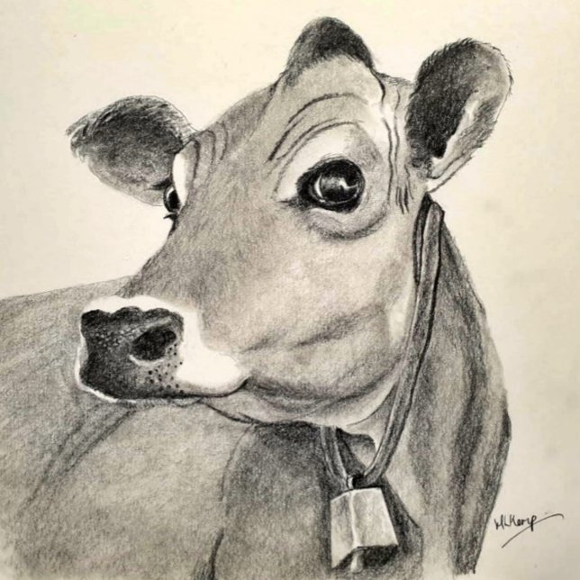 Daisy Cow greetings card (Creator Uploaded)