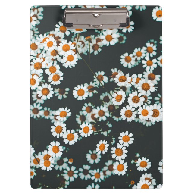 Daisy Daisies Floral Clipboard (Front)