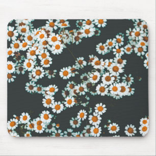 Daisy Daisies Floral Mouse Pad