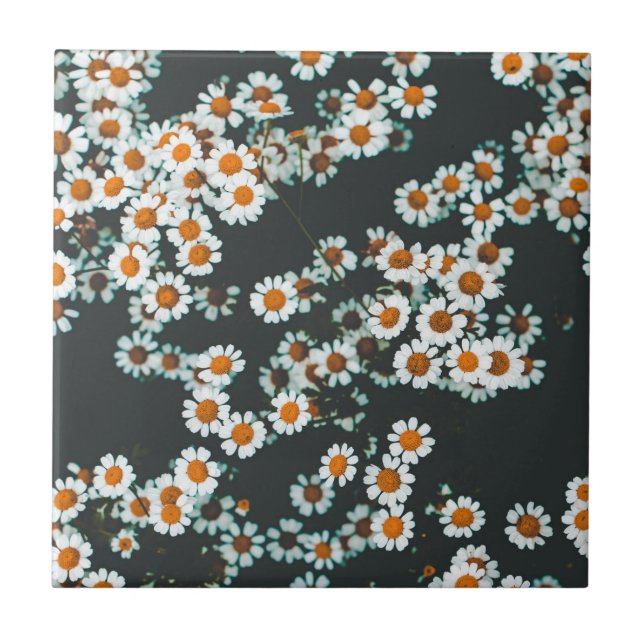 Daisy Daisies Floral Tile (Front)