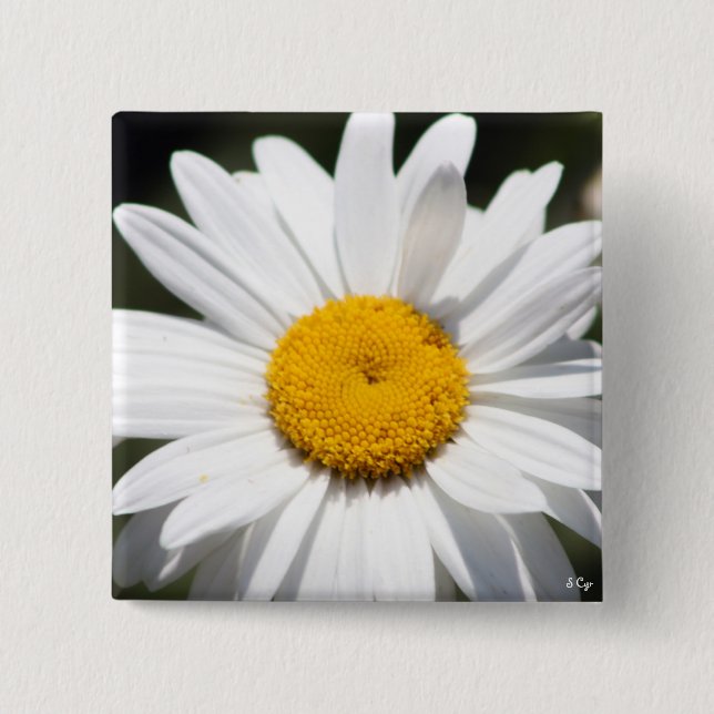 Daisy Darling 15 Cm Square Badge (Front)