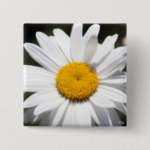 Daisy Darling 15 Cm Square Badge