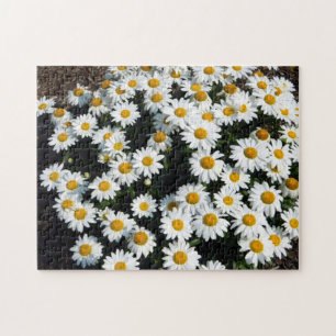 Daisy Days Puzzle