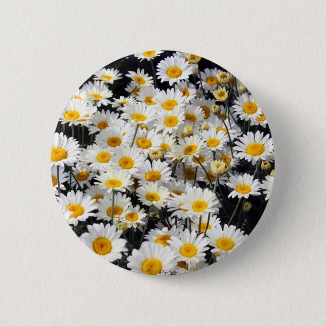 Daisy Delight 6 Cm Round Badge (Front)