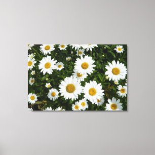 Daisy Delight Canvas Print