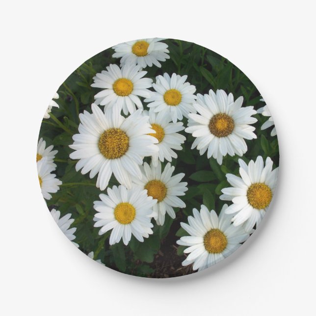 Daisy Delight Paper Plates (Front)