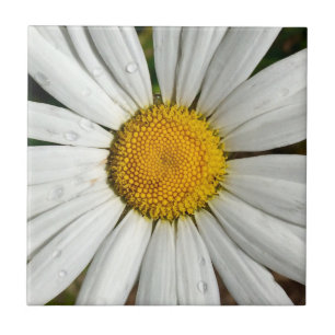 Daisy Dew Tile