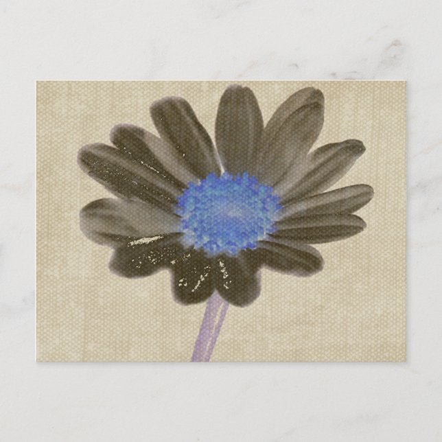 Daisy Digital Art Postcard (Front)