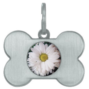*Daisy* Dog Collar Tag