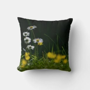 Daisy Dream: Beautiful Floral Nature Cushion