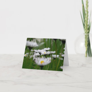Daisy Field Card