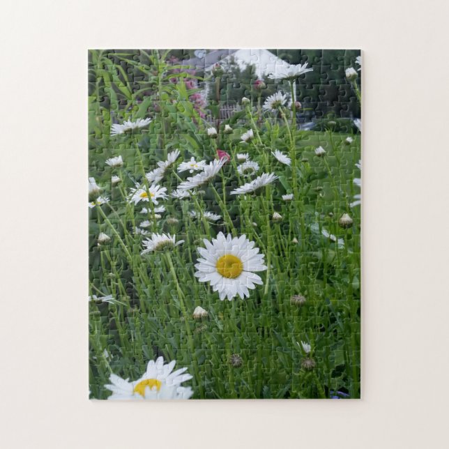 daisy field dreams jigsaw puzzle (Vertical)