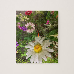 Daisy Field Flowers Jigsaw Puzzle