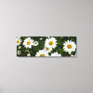 Daisy Field Wrapped Canvas Print
