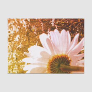 Daisy Fields Tissue Paper