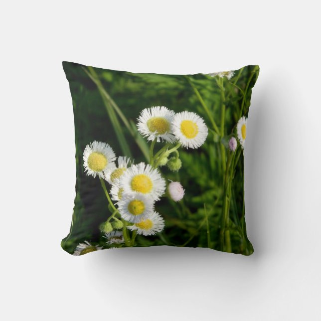 Daisy Fleabane Pillow (Front)