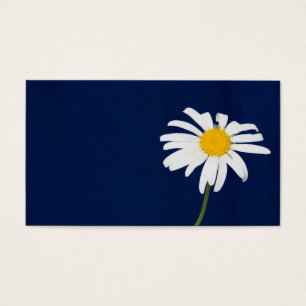 Daisy flower