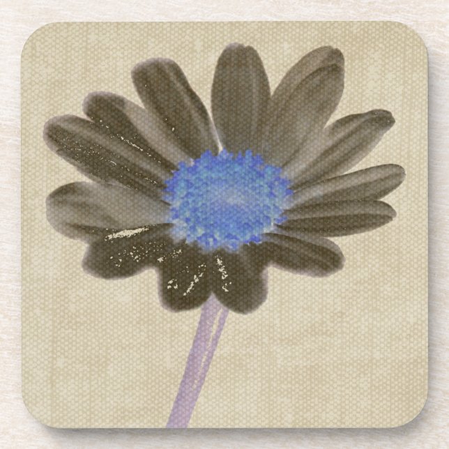 Daisy Flower Art Coasters (Front)