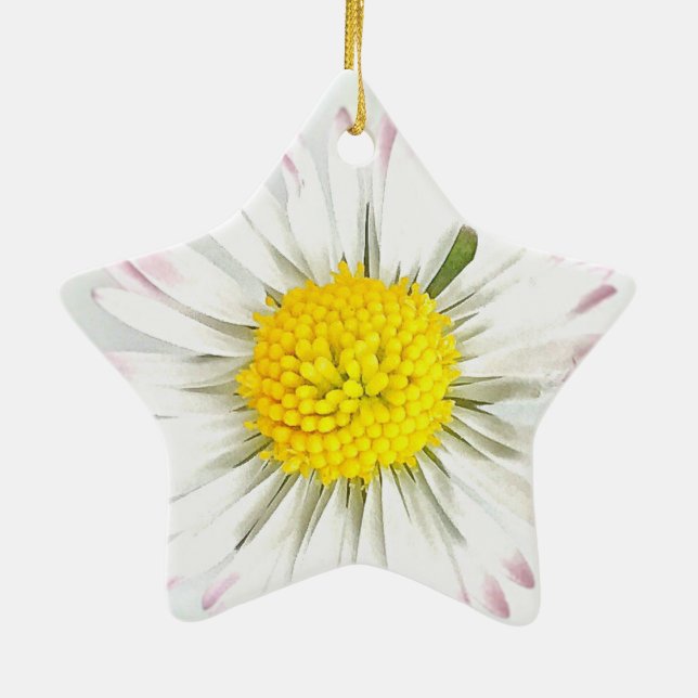 Daisy Flower Dble-Sided Star Ornament (Back)