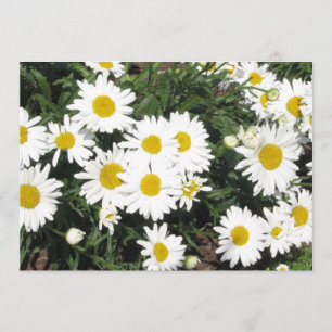 Daisy Flower Invitation