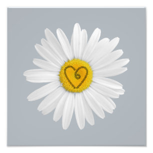 Daisy Flower Love Art Customise Background Photo Print