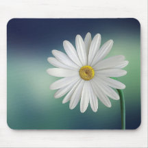 Daisy Flower