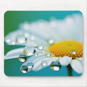 Daisy Flower Petal Nature Serene Calm Mouse Pad