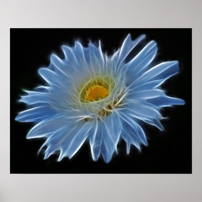 Daisy Flower Poster (Front)