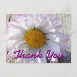 Daisy Flower Thank You Postcard