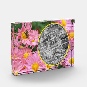 Daisy Flowers And Bumble Bee Add Your Own Photo Block