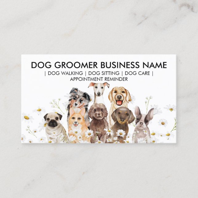 Daisy Flowers Appointment Design for Pet Industry Business Card (Front)