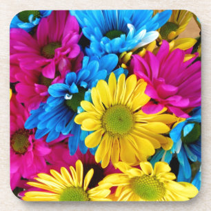 Daisy Flowers Blossoms Love Destiny Shower Party Coaster