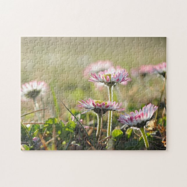 Daisy Flowers Flower Field Spring Meadow Beautiful Jigsaw Puzzle (Horizontal)