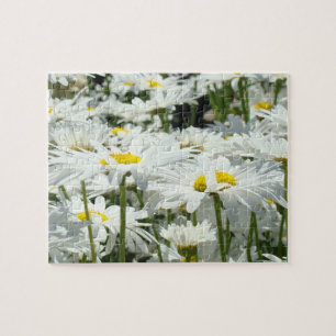 Daisy Flowers Garden Puzzle Fun Time Puzzles
