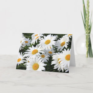 Daisy Flowers Growing White Card