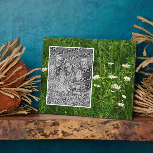 Daisy Flowers In Field Add Your Own Photo Plaque (Side)