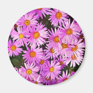 DAISY FLOWERS MAGNET