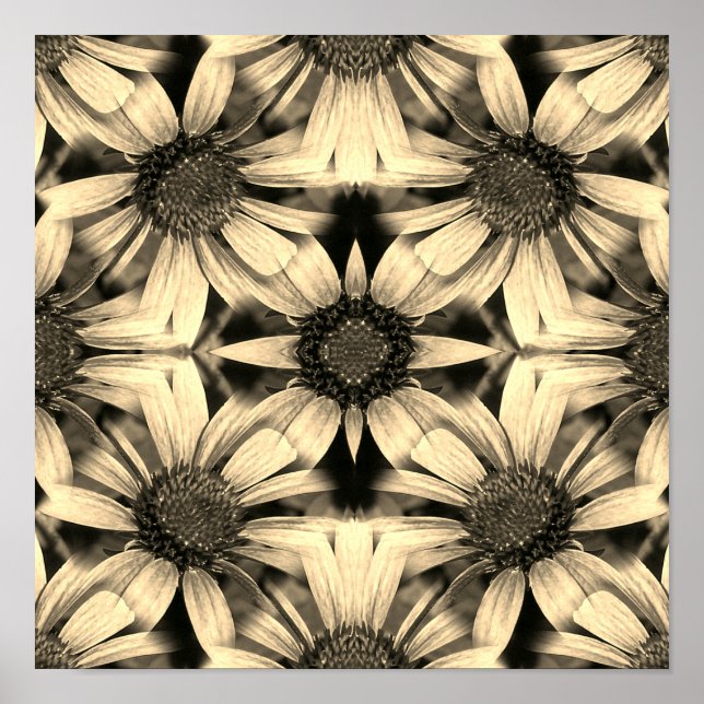Daisy Flowers Mirror Sepia Abstract  Poster (Front)