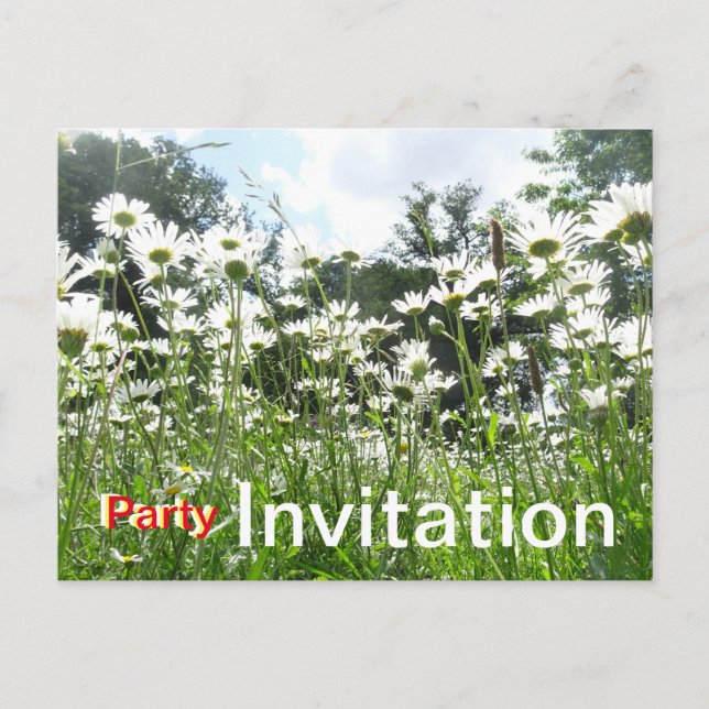 Daisy Flowers Party Invitation Postcard (Front)