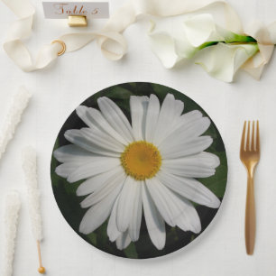 Daisy Flowers Photography Art Paper Plate