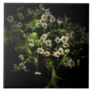 Daisy,  Flowers Tile