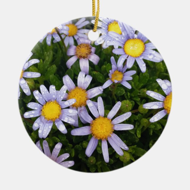 Daisy Flowers, White Yellow Flower, Nature Daisies Ceramic Tree Decoration (Front)