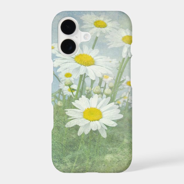 daisy garden with texture (Back)