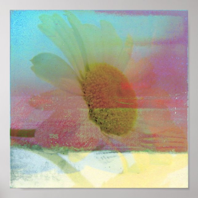 Daisy Glitch Poster (Front)