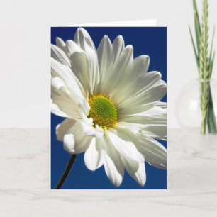 Daisy Greeting Card