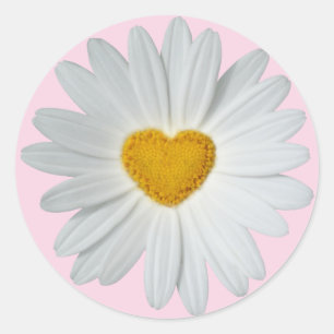 Daisy Heart Classic Round Sticker
