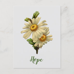 Daisy Hope Inspirational Postcard