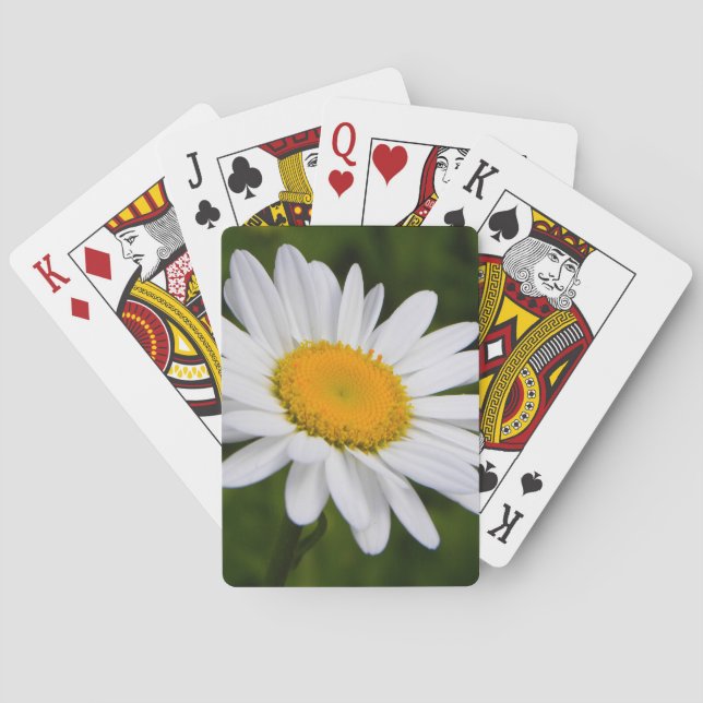 Daisy in Bloom Playing Cards (Back)