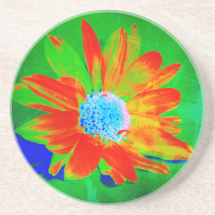 Daisy in Infrared Coaster