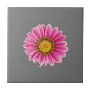 Daisy In Pink Tile